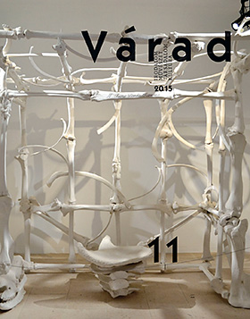 Varad11